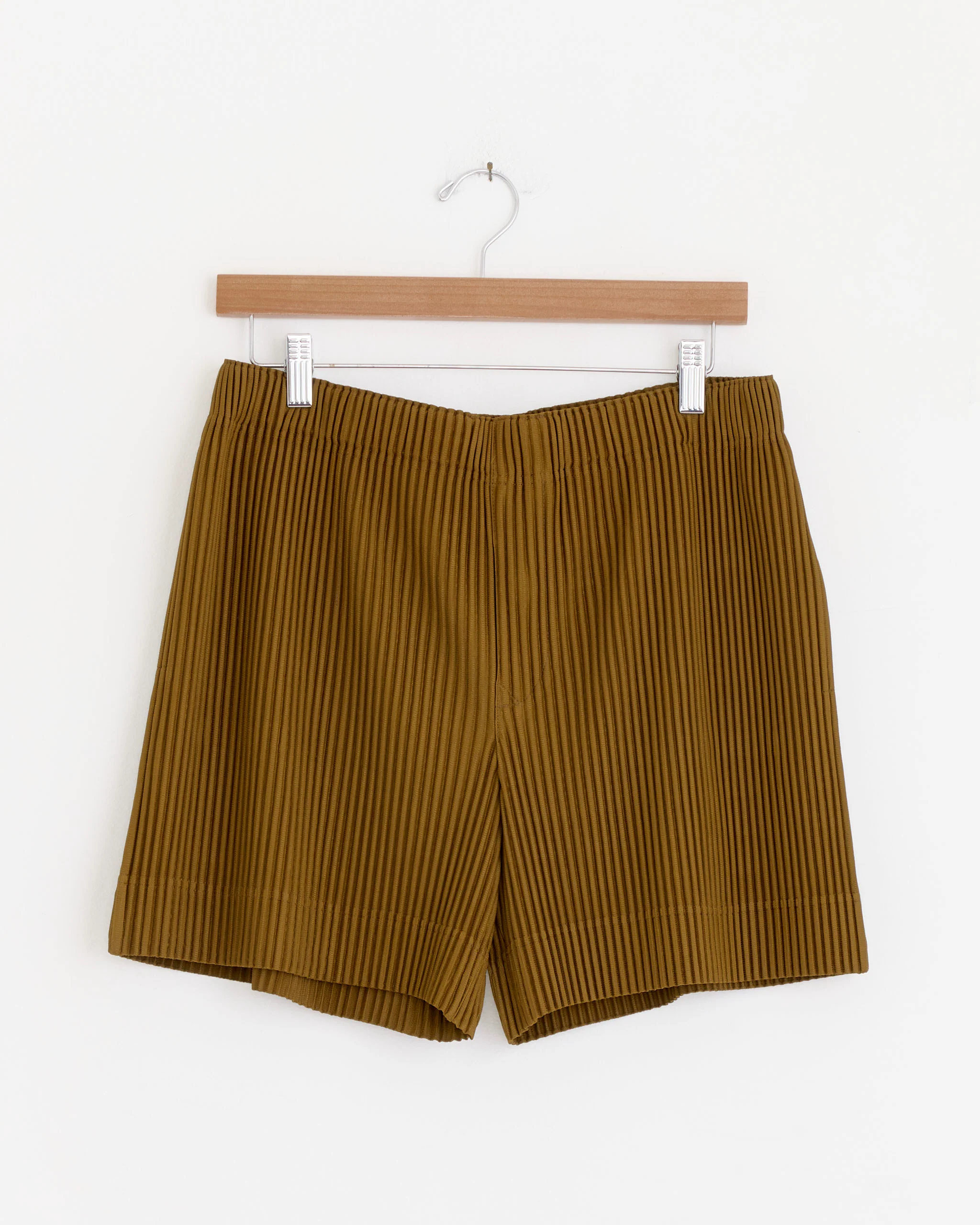 Colorful Pleats Short in Rock Green