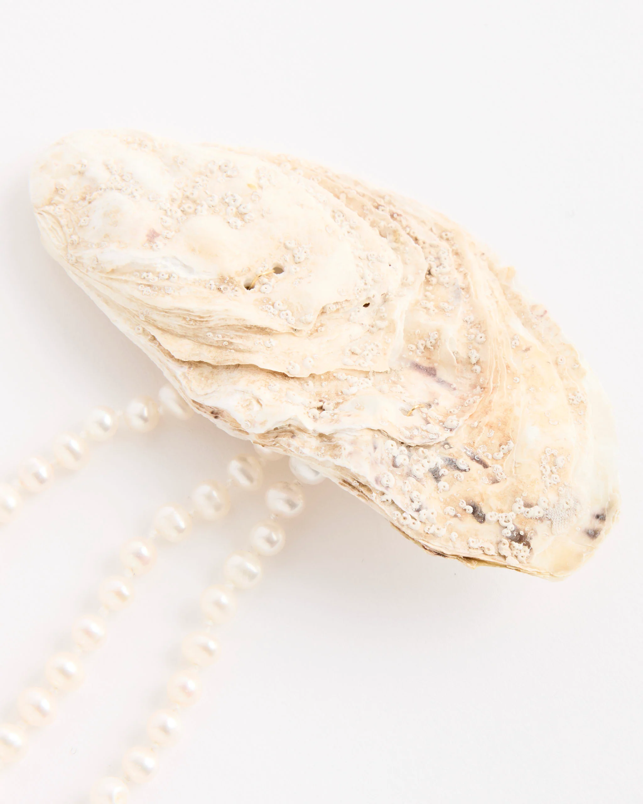 Pearly Hair Clip - Image 2